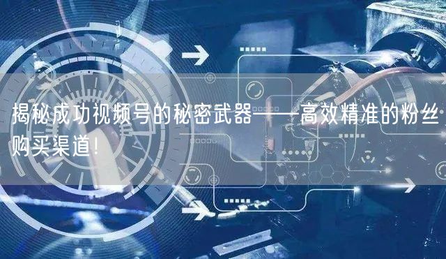 揭秘成功视频号的秘密武器——高效精准的粉丝购买渠道!