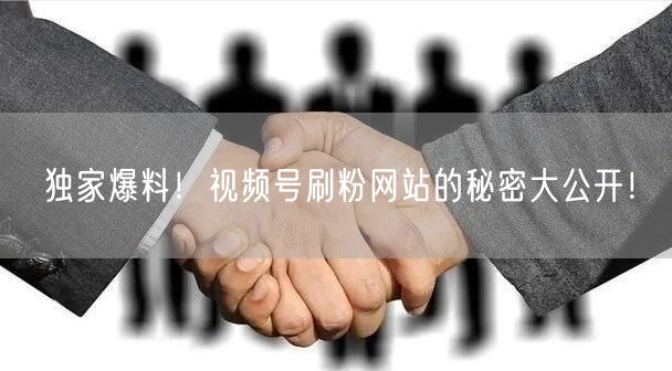 独家爆料!视频号刷粉网站的秘密大公开!