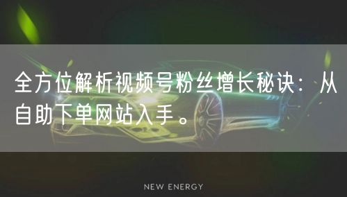 全方位解析视频号粉丝增长秘诀：从自助下单网站入手。