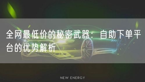 全网最低价的秘密武器:自助下单平台的优势解析
