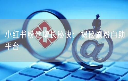 小红书粉丝增长秘诀:揭秘刷粉自助平台