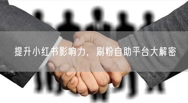 提升小红书影响力,刷粉自助平台大解密