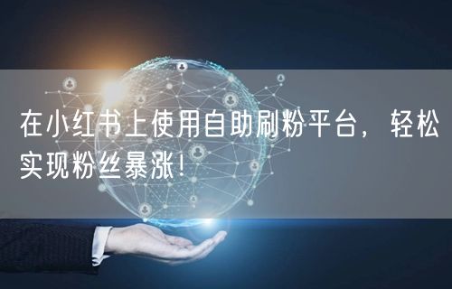 在小红书上使用自助刷粉平台,轻松实现粉丝暴涨!