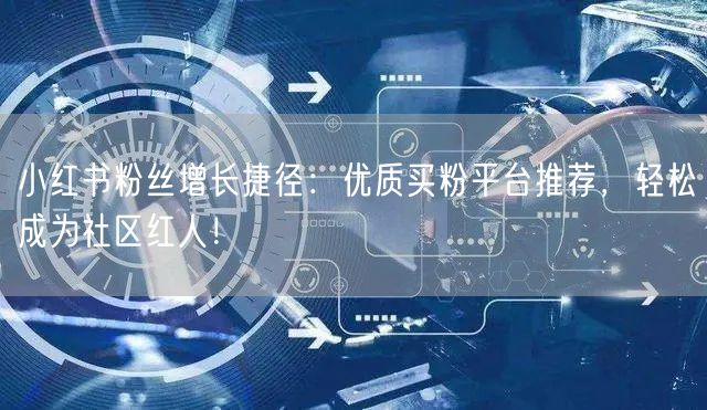 小红书粉丝增长捷径:优质买粉平台推荐,轻松成为社区红人!