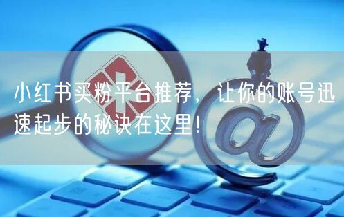 小红书买粉平台推荐,让你的账号迅速起步的秘诀在这里!