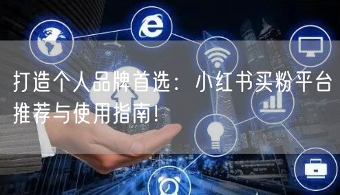 打造个人品牌首选:小红书买粉平台推荐与使用指南!