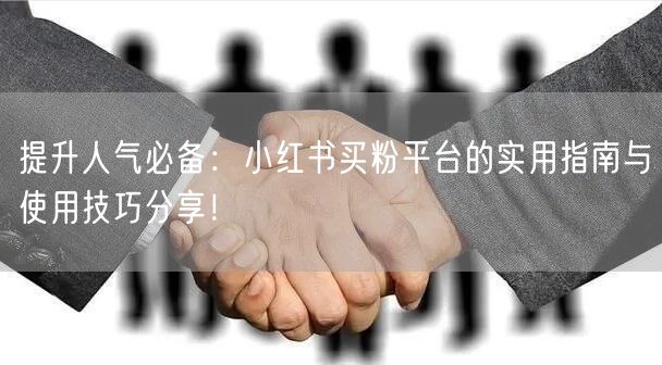提升人气必备:小红书买粉平台的实用指南与使用技巧分享!