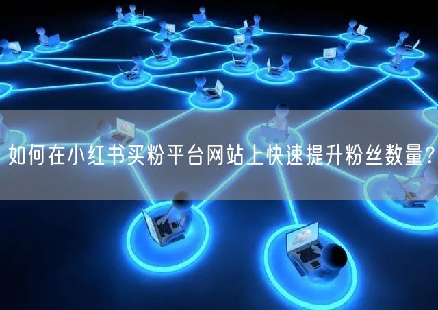 如何在小红书买粉平台网站上快速提升粉丝数量?
