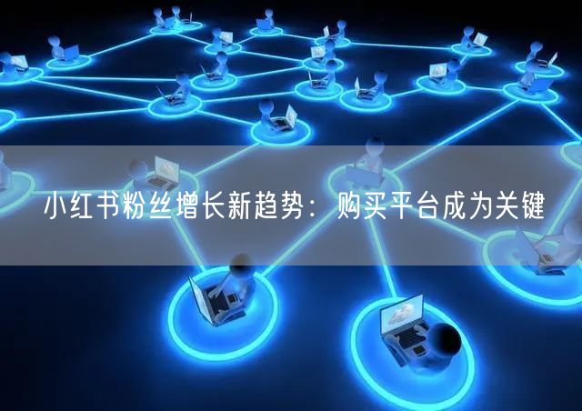 小红书粉丝增长新趋势:购买平台成为关键