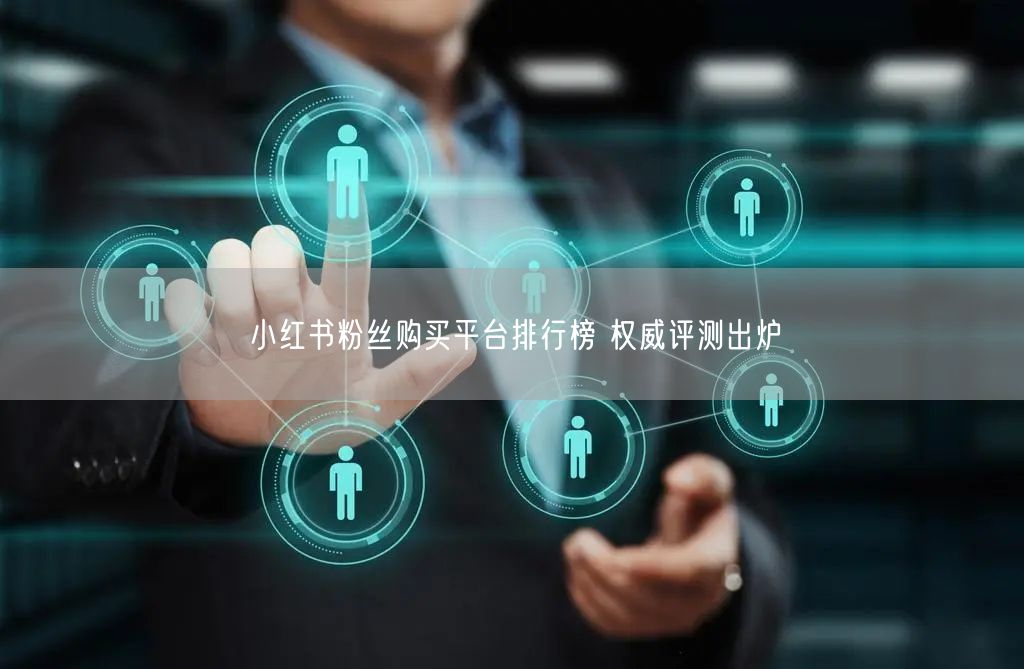 小红书粉丝购买平台排行榜 权威评测出炉